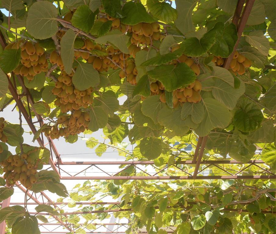 Apartments Bresan تروغير المظهر الخارجي الصورة